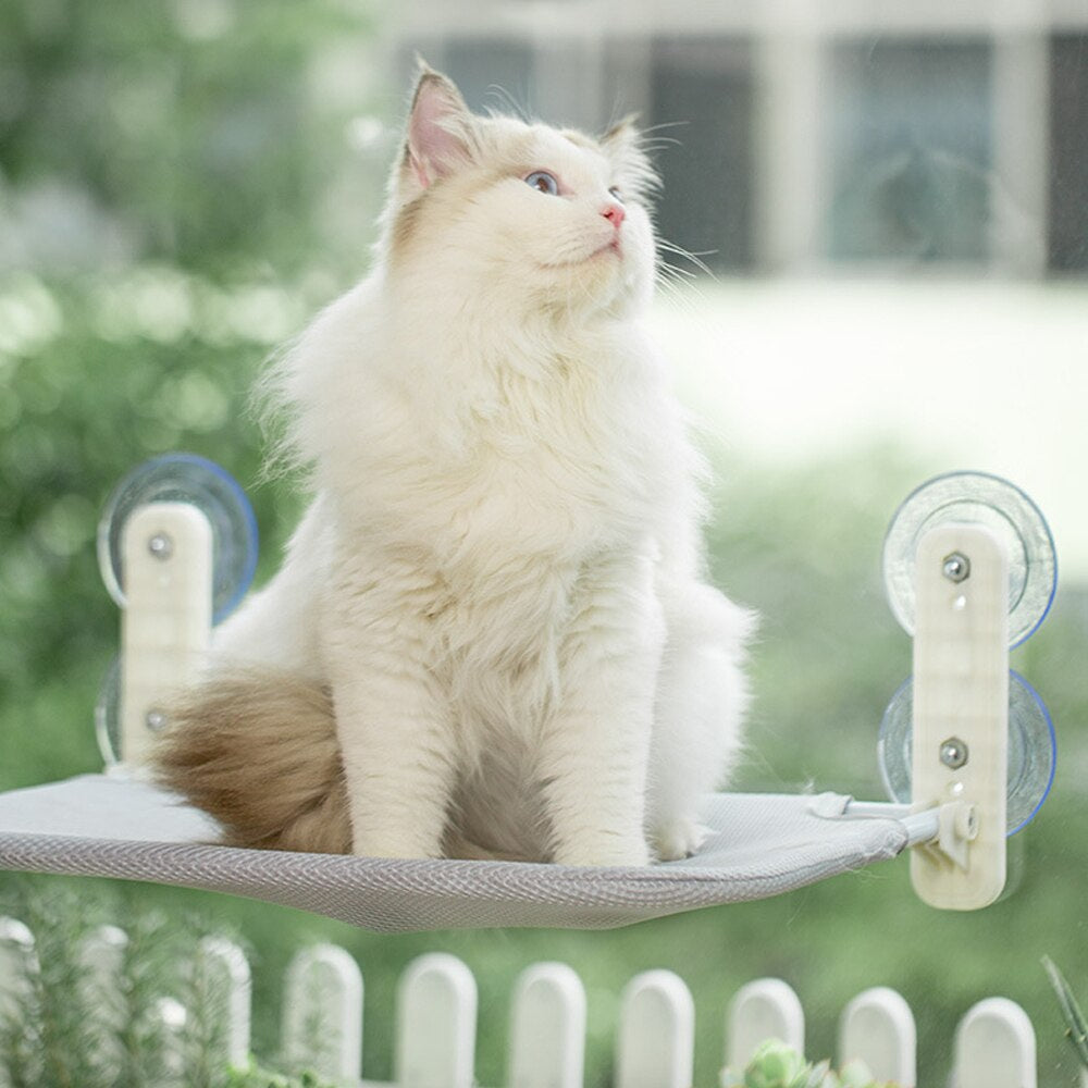 🐾Steady Foldable Cat Window Hammock🐾