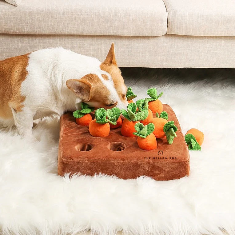Carrot Farm Pet Plushie