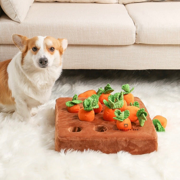 Carrot Farm Pet Plushie