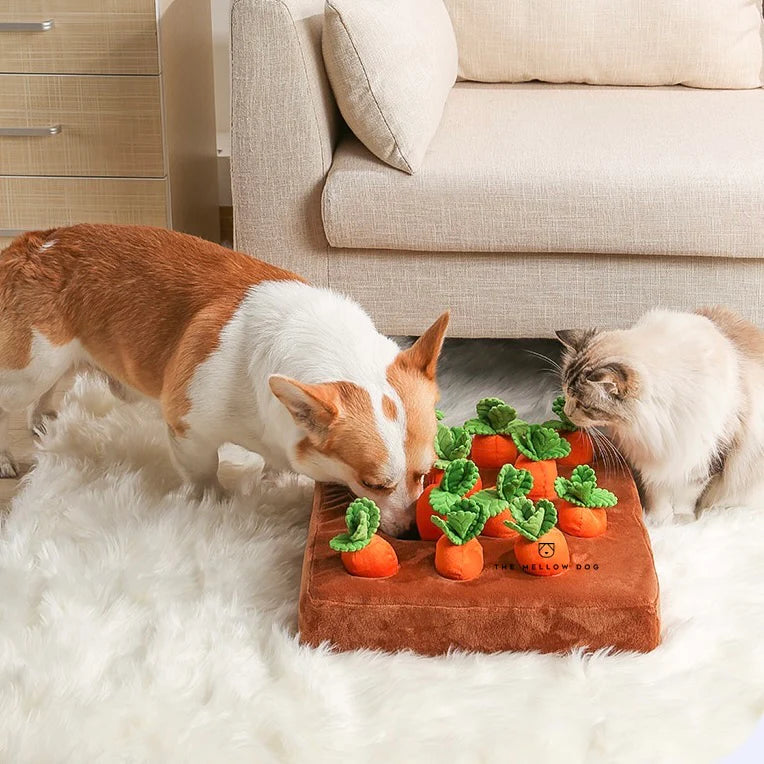Carrot Farm Pet Plushie