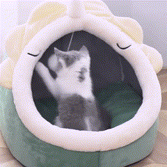 Removable & Washable Cozy Cat House
