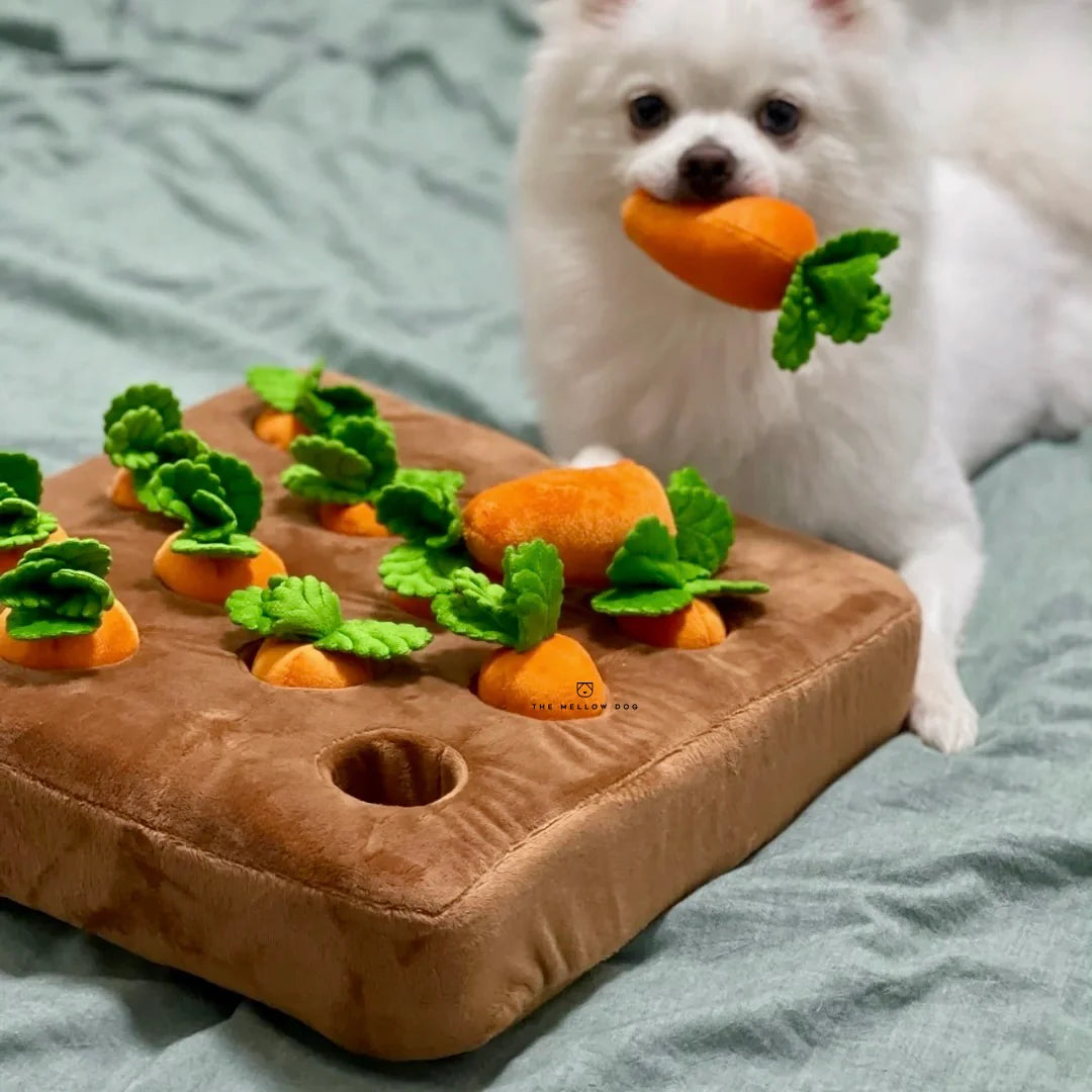 Carrot Farm Pet Plushie