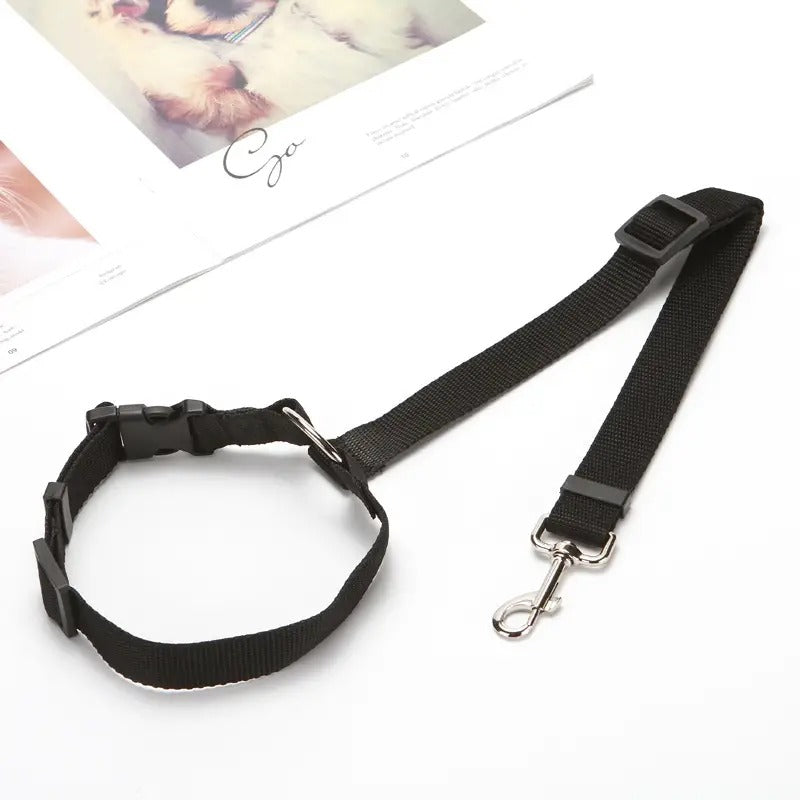 Adjustable 2-in-1 Nylon Dog Lead Leash & Seat Belt (Buy 1 Get 1)