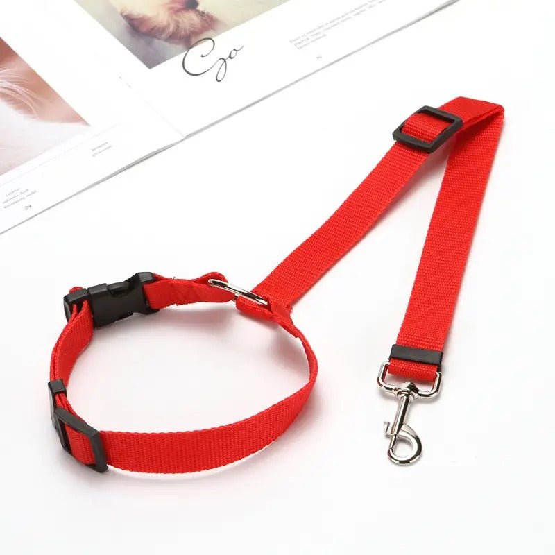 Adjustable 2-in-1 Nylon Dog Lead Leash & Seat Belt (Buy 1 Get 1)