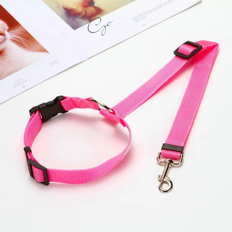 Adjustable 2-in-1 Nylon Dog Lead Leash & Seat Belt (Buy 1 Get 1)