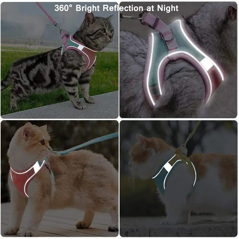 🐾Adjustable Escape-Proof Cat Harness