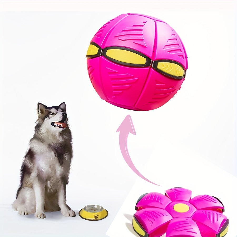 🐶The Flying Saucer Ball For Pet