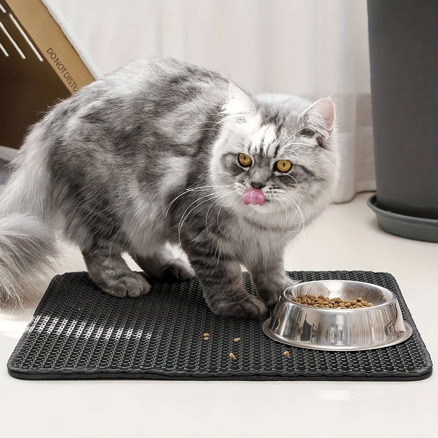 Double-Layer Cat Litter Mat for Indoor Cats!