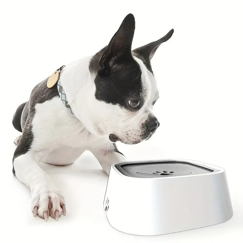 🔥No-Spill Pet Water Bowl: Keep Your Dog Hydrated with a Slow Feeder Dish! 🔥