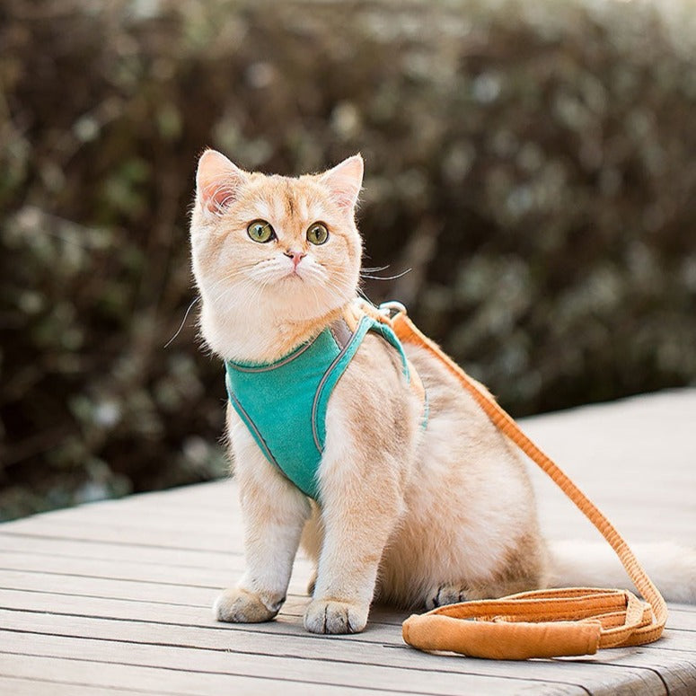 🐾Adjustable Escape-Proof Cat Harness