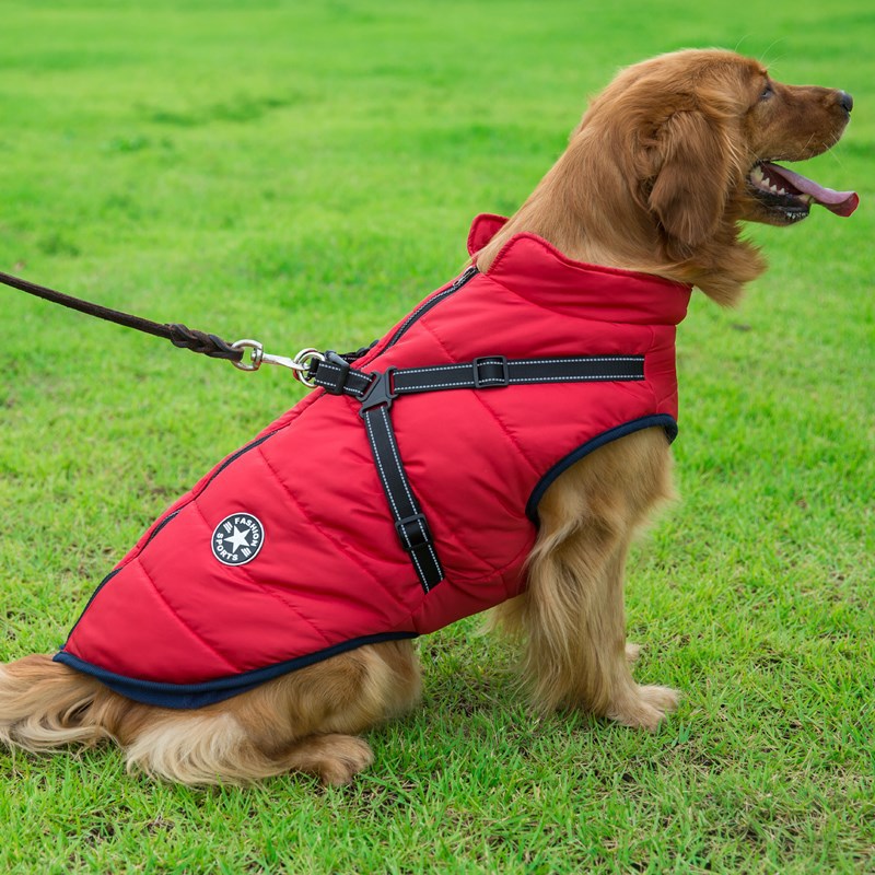[2023 Update] Dog Coat - Winter Dog Jacket🐾