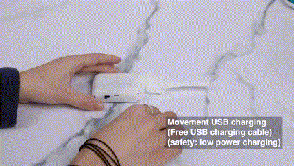 Floppy Lobster™ Interactive Dog/Cat Toy