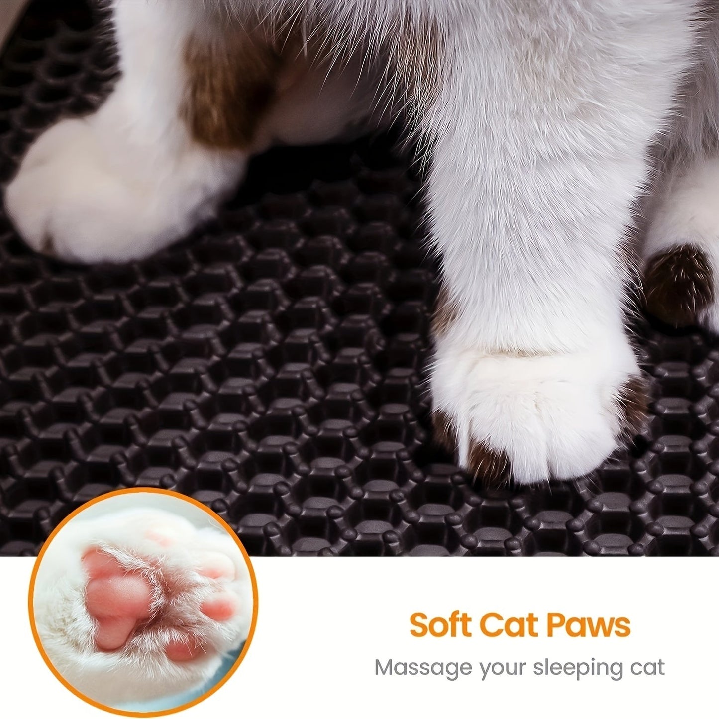Double-Layer Cat Litter Mat for Indoor Cats!