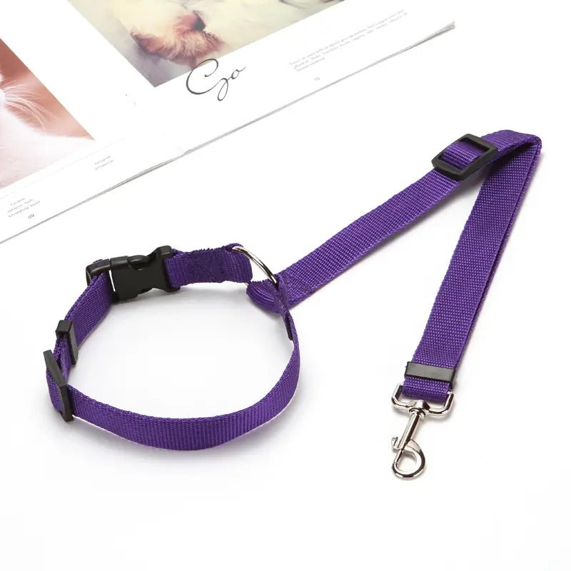 Adjustable 2-in-1 Nylon Dog Lead Leash & Seat Belt (Buy 1 Get 1)