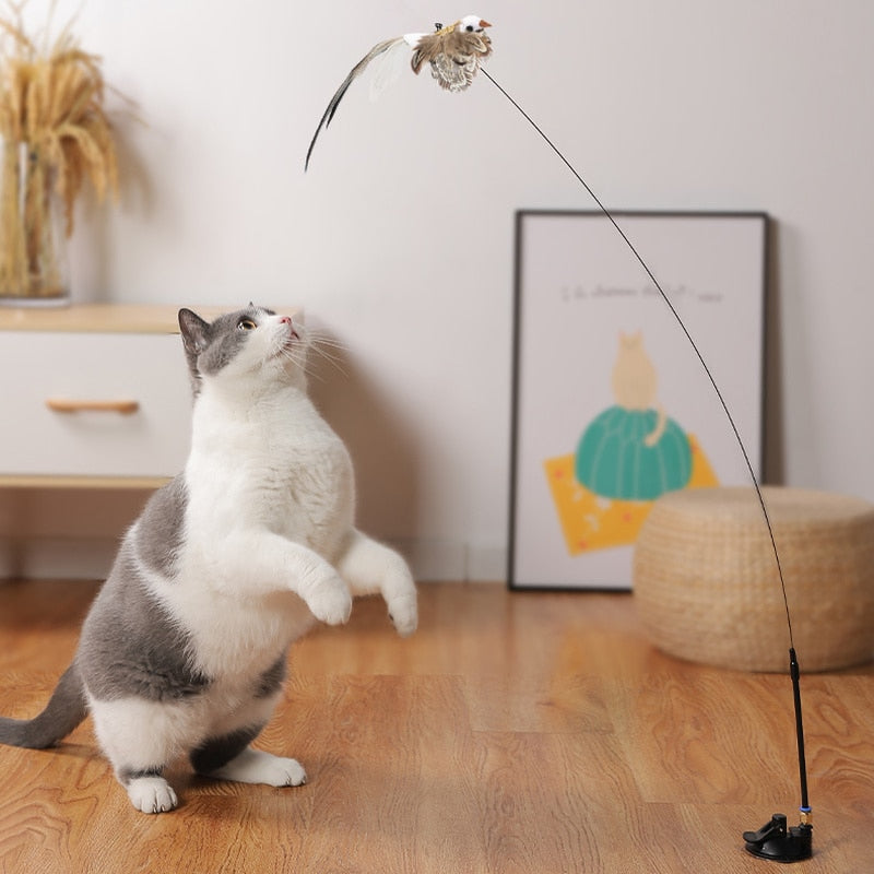 🐾Interactive Bird Simulation Cat Toy Set