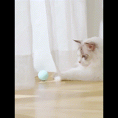 😻Smart Automatic Rolling Ball Electric Cat Toys - Interactive Toys For Pet